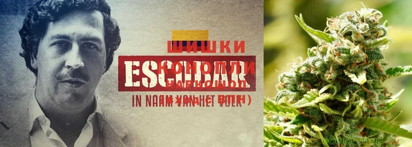 кокс Баксан