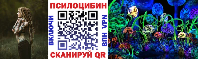 Галлюциногенные грибы Cubensis Купить где Руза